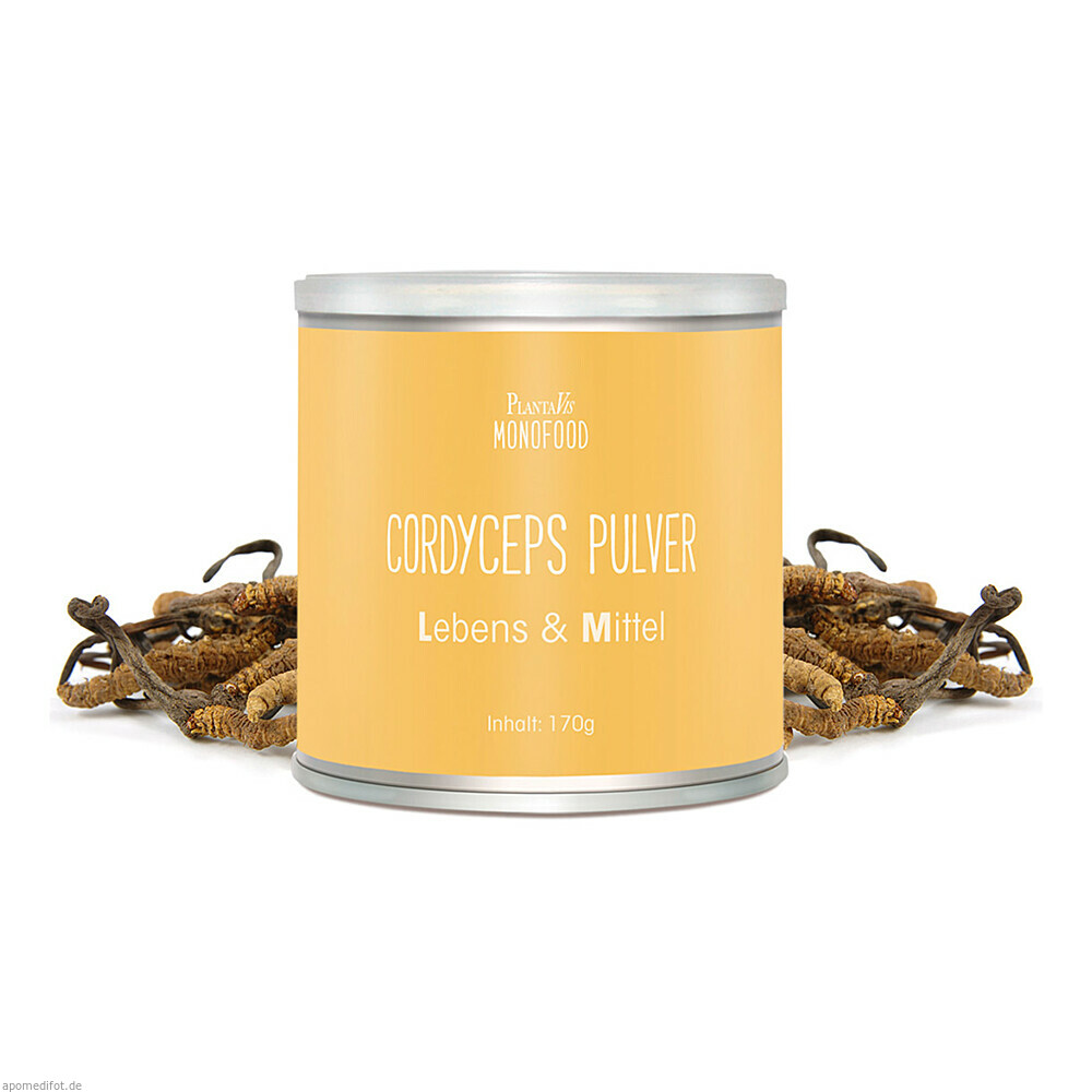 Cordyceps Pulver